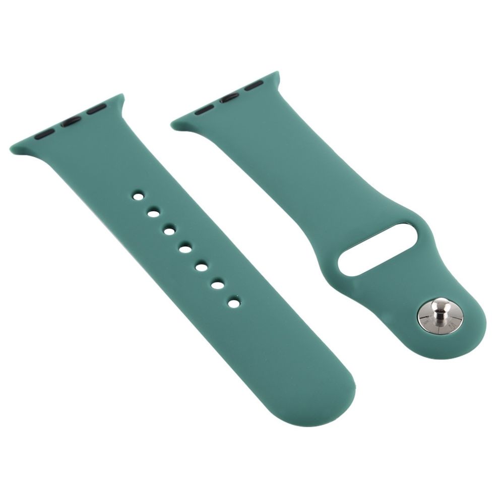 Wewoo - Pour Apple Watch Series 5 & 4 44mm / 3 & 2 & 1 42mm Bracelet de montre en silicone vert - Accessoires Apple Watch