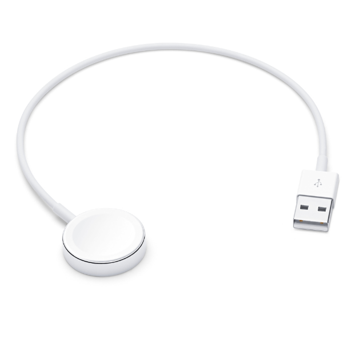 Apple - Aw Magnetic Charging Cable 0.3m - Bracelet connecté