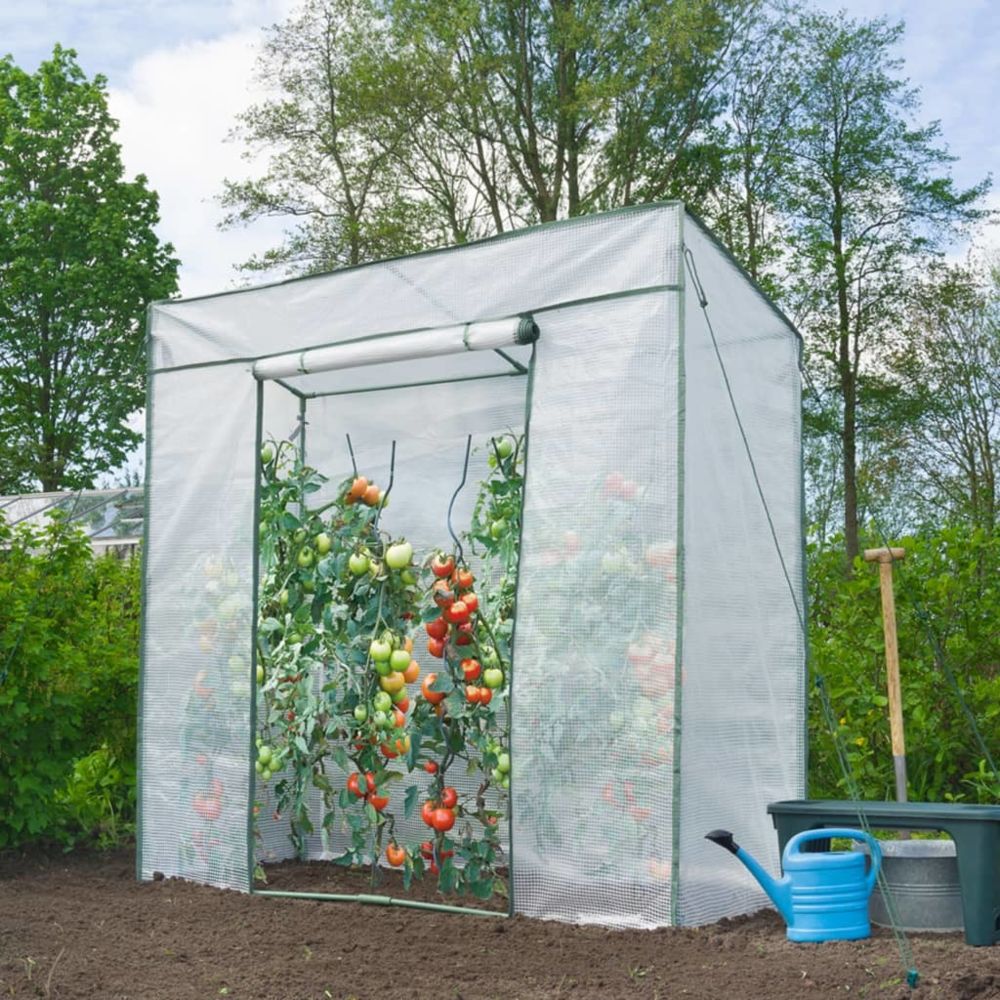 Icaverne - Icaverne - Serres de jardin ensemble Serre à tomates 198x78x200 cm - Serres en verre