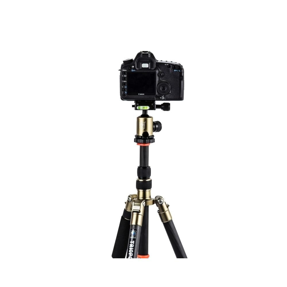 Wewoo - Trépied or et noir pour Canon Nikon Sony DSLR caméra GT-2505x8.C en fibre de carbone portable réglable avec B-1 tête en aluminium - Trépied et fixation photo vidéo