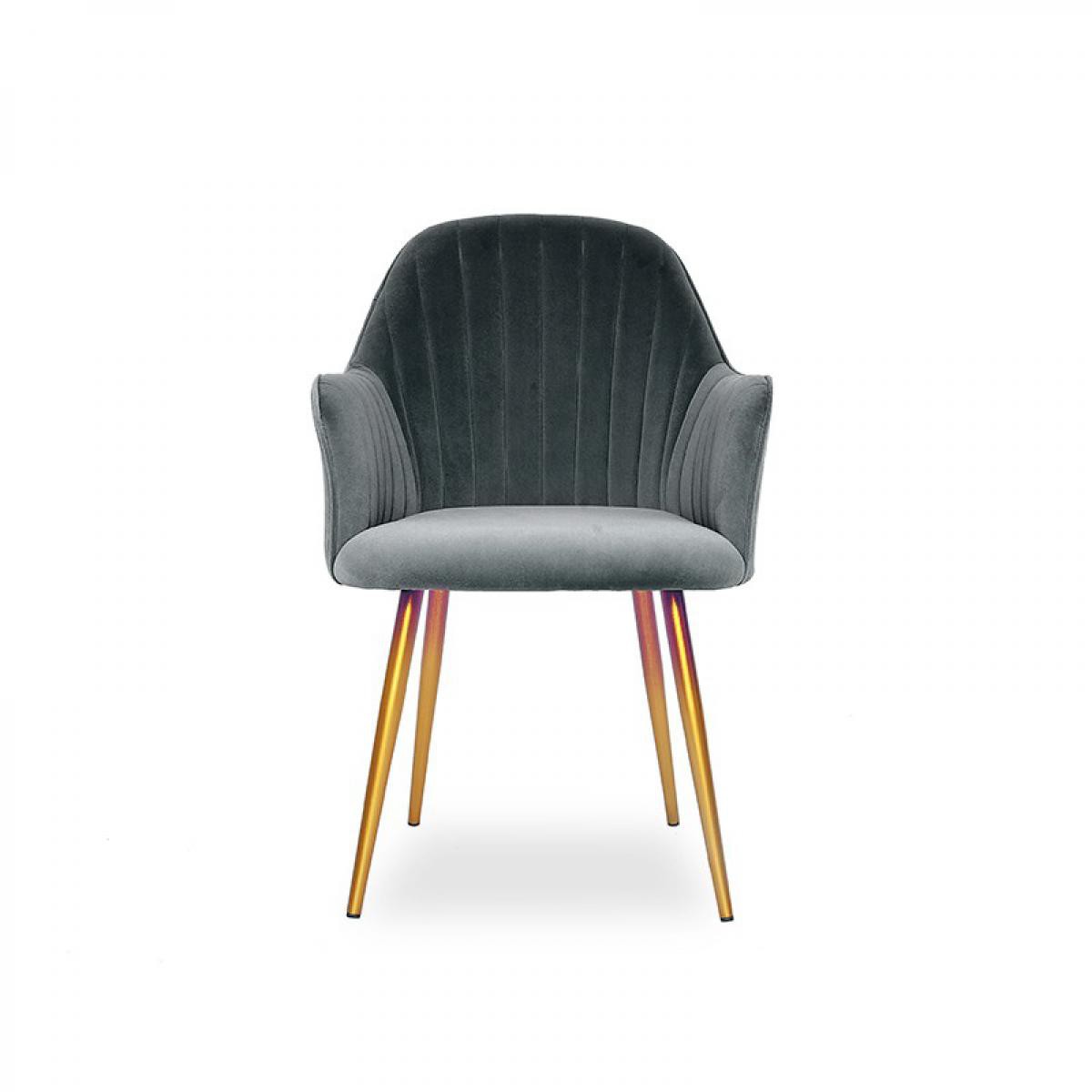 Meubler Design - Chaise de salle à manger velours pied or Skull - Gris - Chaises