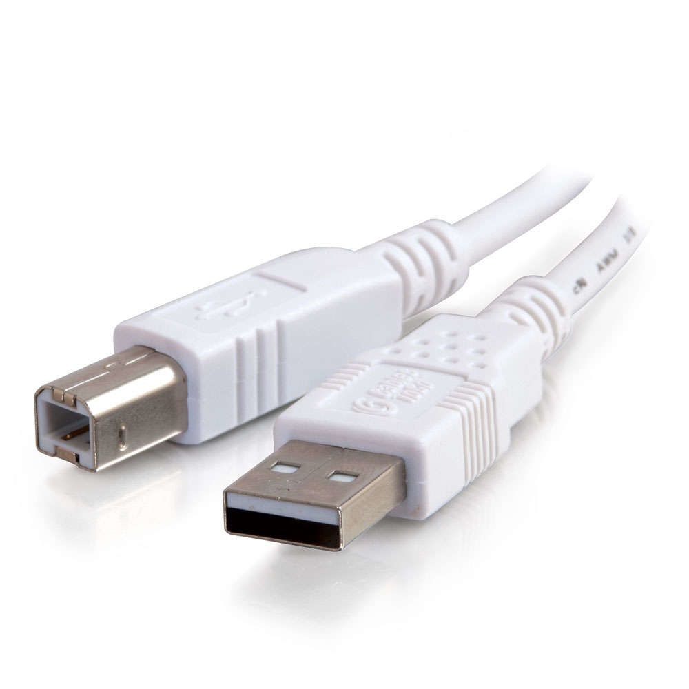 Cables To Go - C2G Câble USB 2.0 A/B de 2 M - Blanc - Câble USB