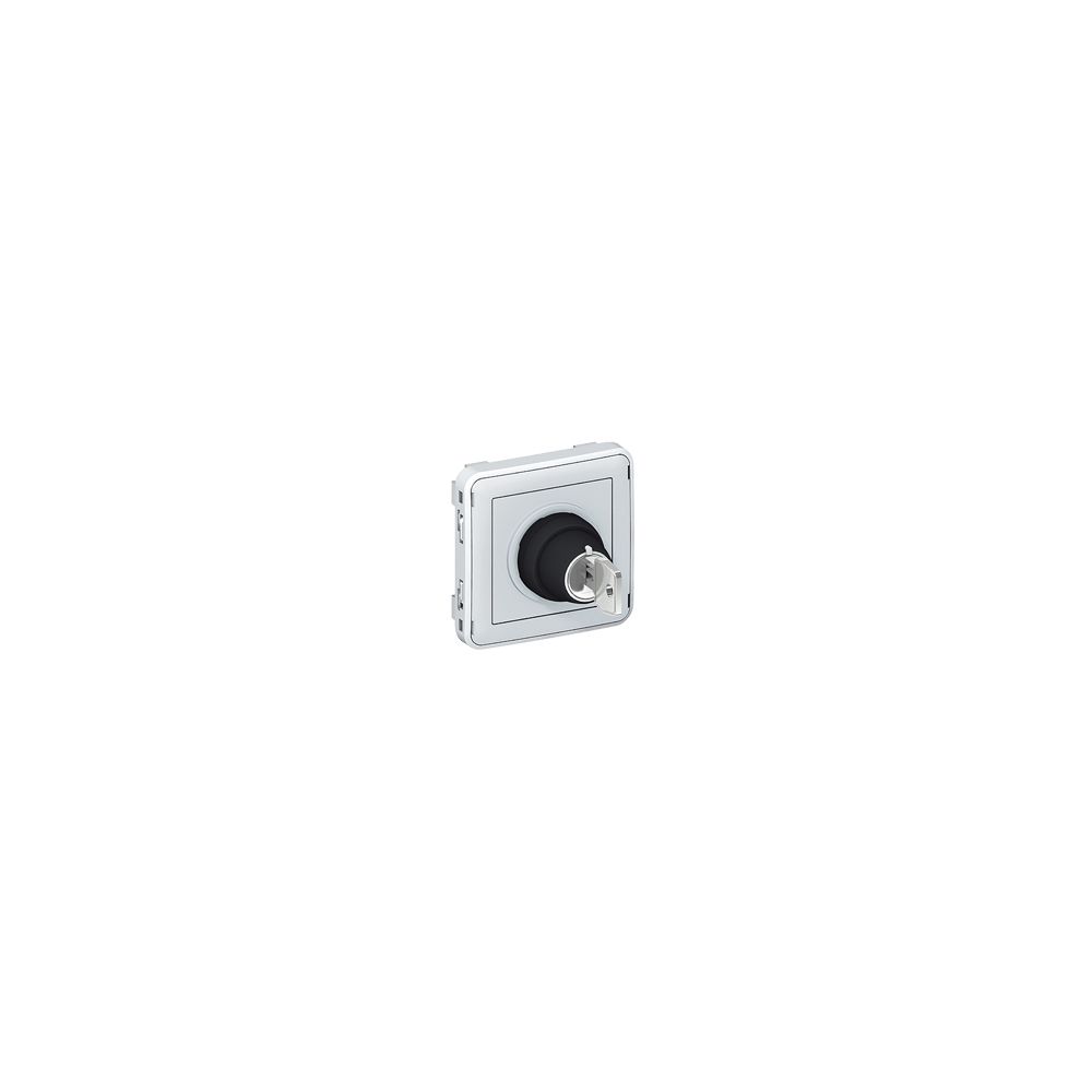 Legrand - interrupteur à clé 3 positions - legrand plexo 55 - gris - composable - Interrupteurs et prises étanches