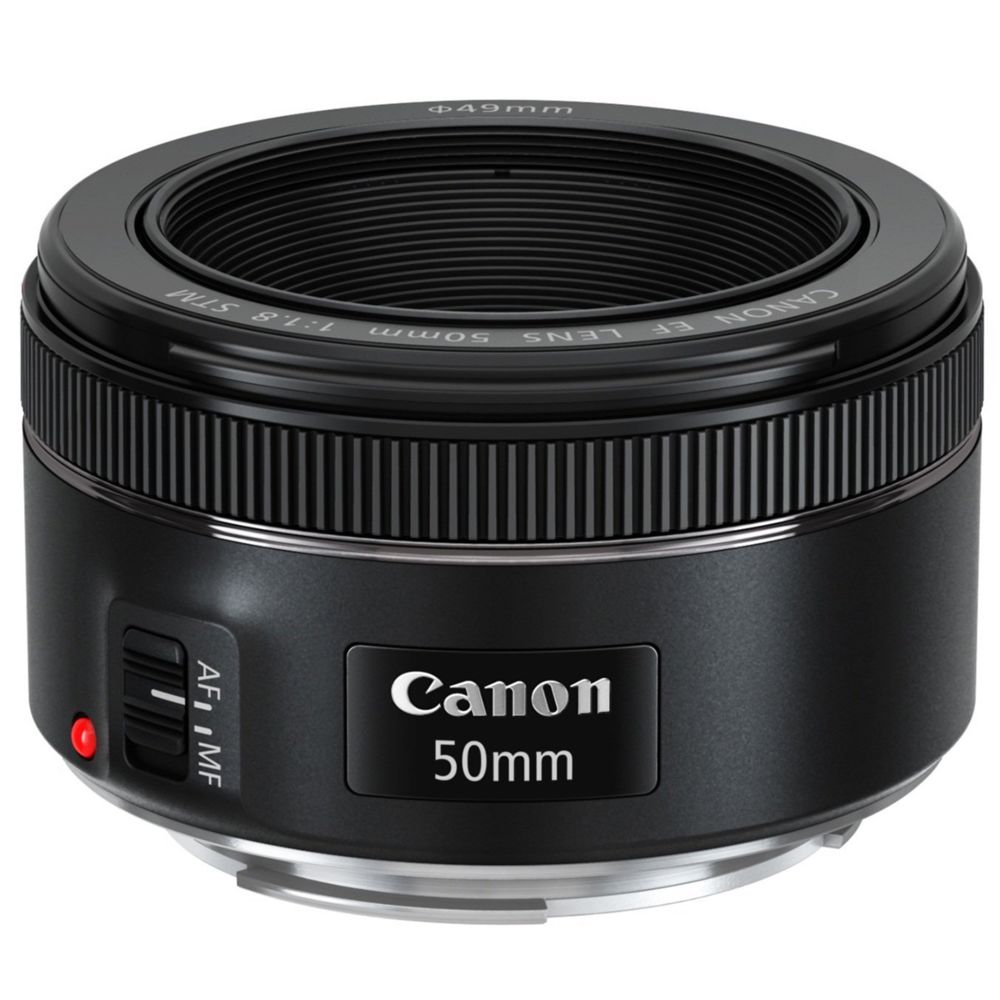 Canon - Objectif Canon EF 50mm f/1.8 STM - Objectif Photo