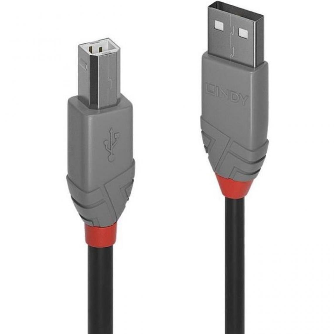 Lindy - LINDY Câble USB 2.0 type A vers B - Anthra Line - 3m - Câble antenne