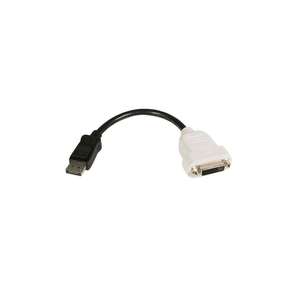 Startech - Adaptateur vidéo DisplayPort vers DVI - M/F - 1080p - Câble Ecran - DVI et VGA