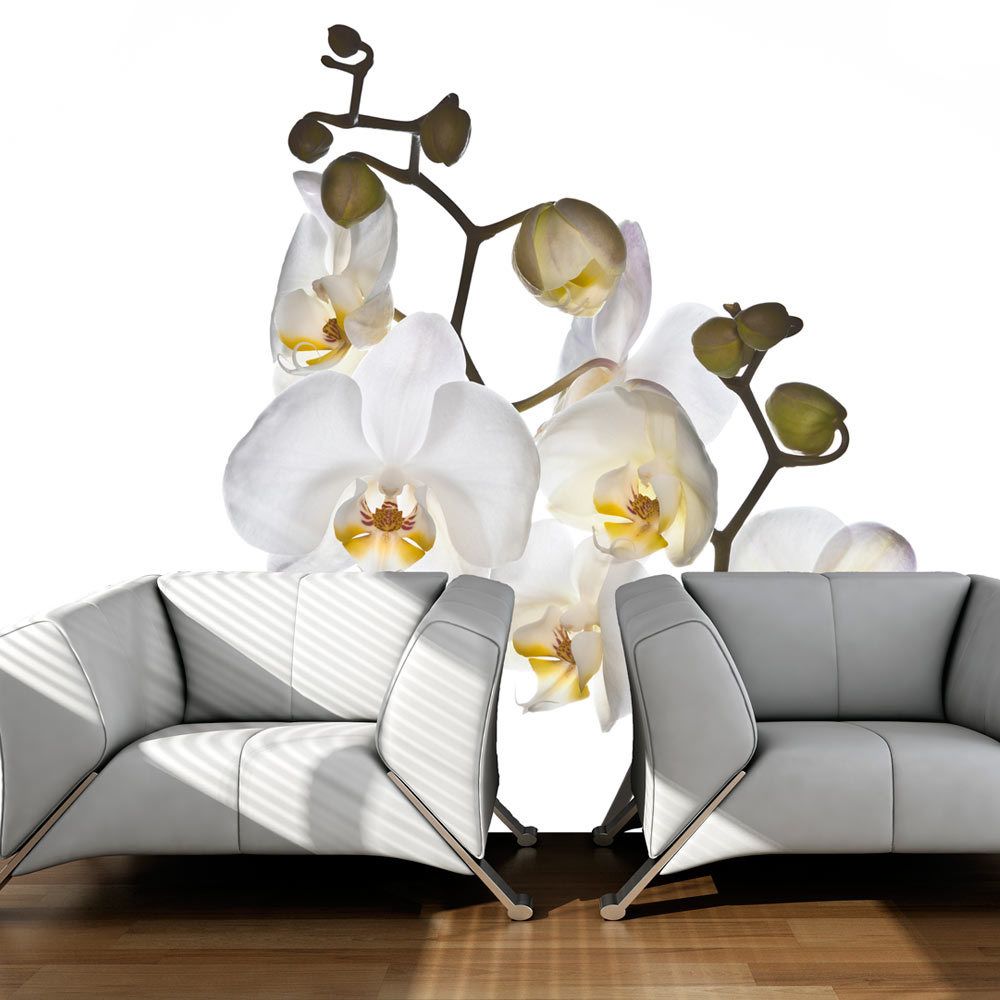 marque generique - 200x154 Papier peint Orchidées Fleurs Joli Shyness - Papier peint
