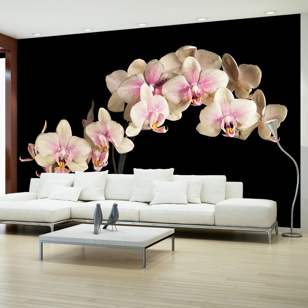 Bimago - Papier peint - Orchidée en fleurs - Décoration, image, art | 450x270 cm | XXl - Grand Format | - Papier peint