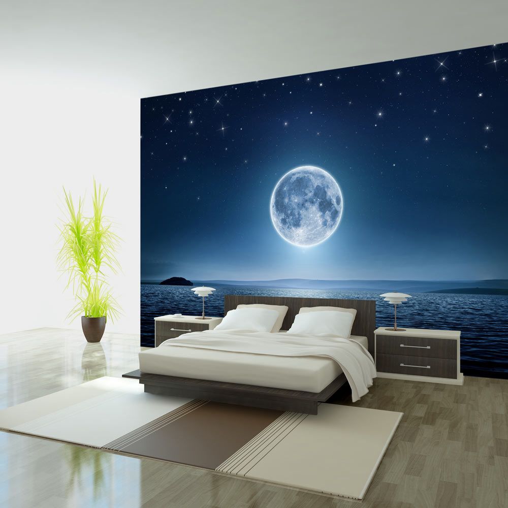 marque generique - 400x280 Papier peint Ciel Paysages Magnifique Moonlit night - Papier peint