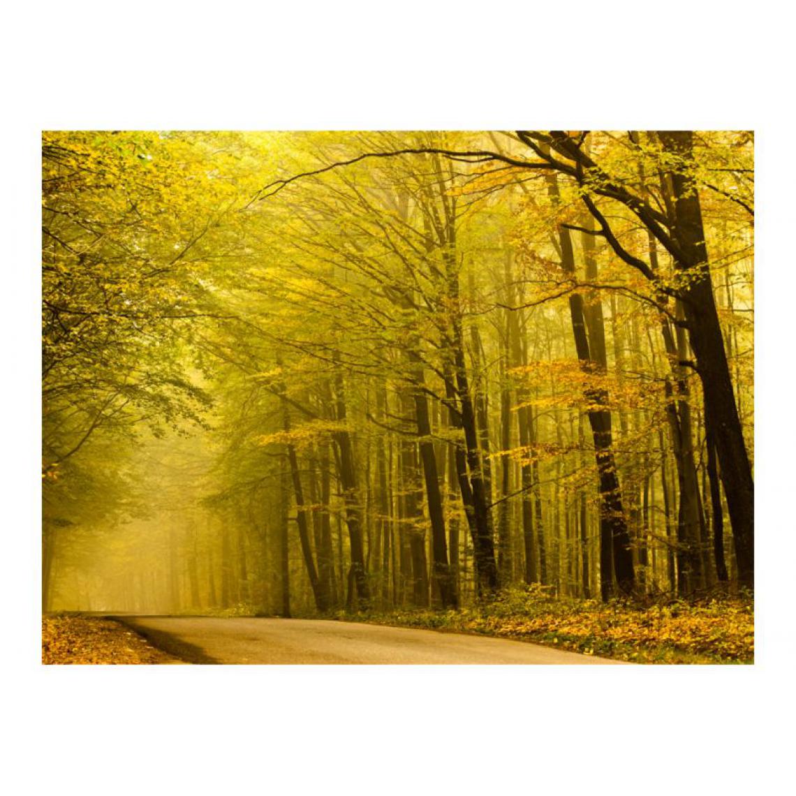 Artgeist - Papier peint - Route dans la forêt d'automne .Taille : 350x270 - Papier peint