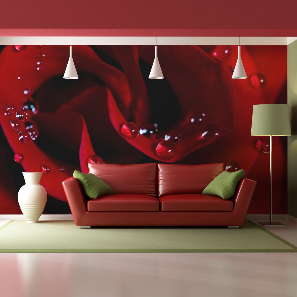 Bimago - Papier peint | Rose rouge et gouttes de rosée | 200x154 | Fleurs | Roses | - Papier peint