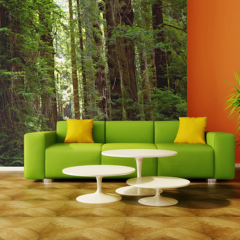 Bimago - Papier peint | Green forest | 350x270 | Paysages | Arbres et Forêt | - Papier peint