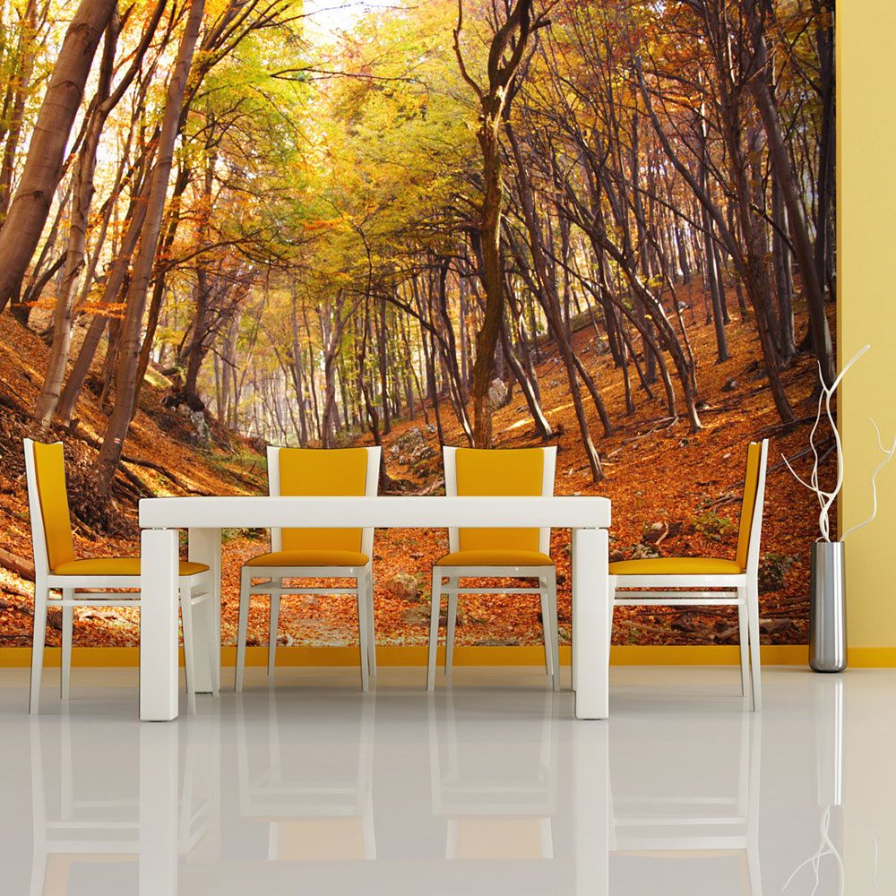 Bimago - Papier peint | Forêt aux couleurs d'automne | 250x193 | Paysages | Arbres et Forêt | - Papier peint