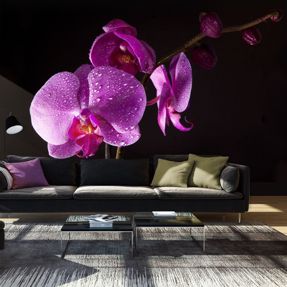 Bimago - Papier peint - de bon goût orchidée - Décoration, image, art | Fleurs | Orchidées | 450x270 cm | XXl - Grand Format | - Papier peint