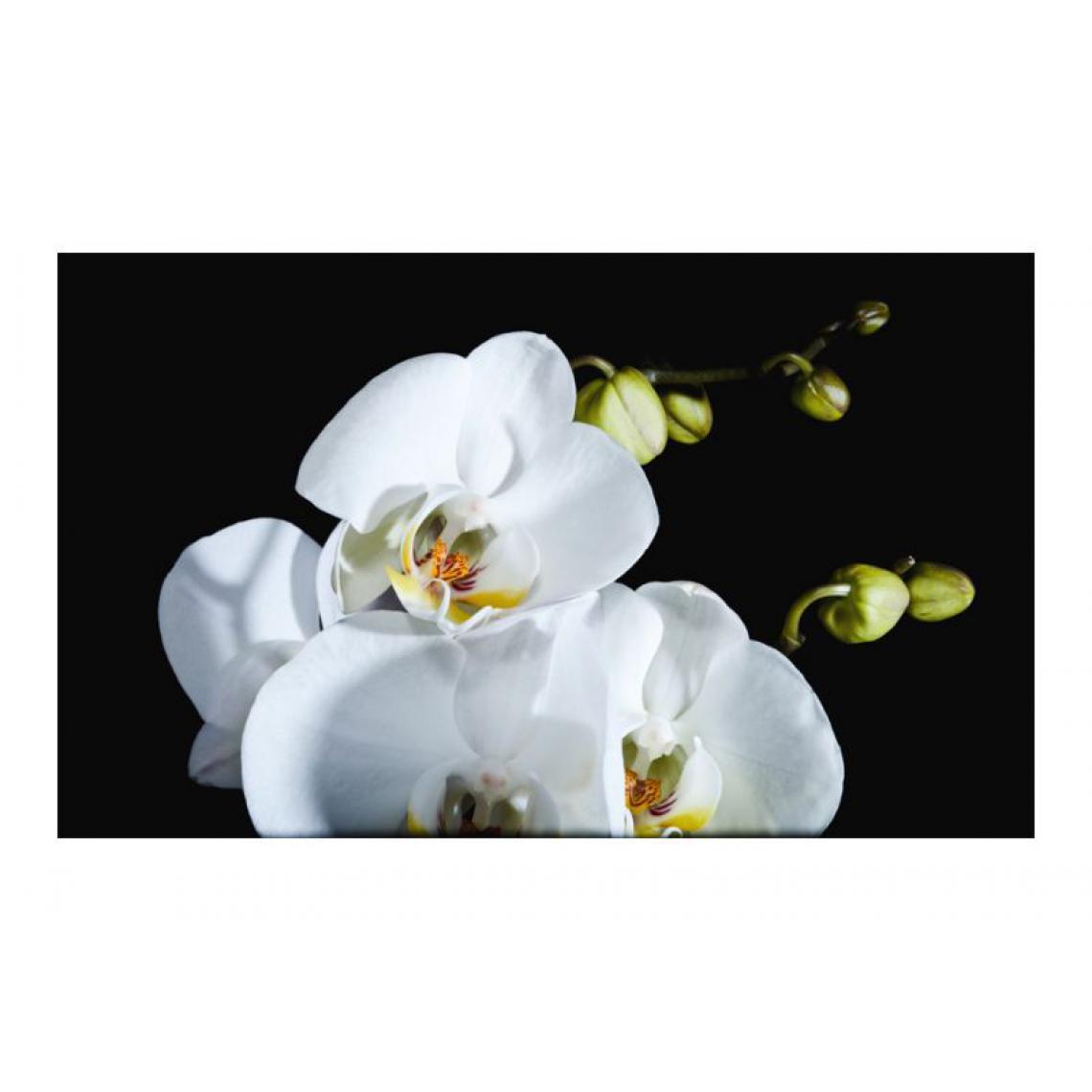 Artgeist - Papier peint - Phalaenopsis .Taille : 450x270 - Papier peint