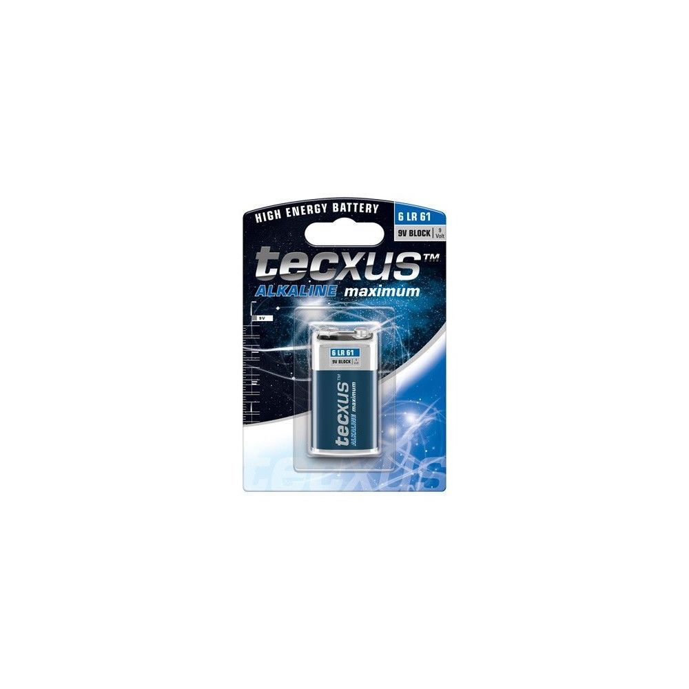 Alpexe - 6 LR 61 1-BL tecxus - Piles rechargeables