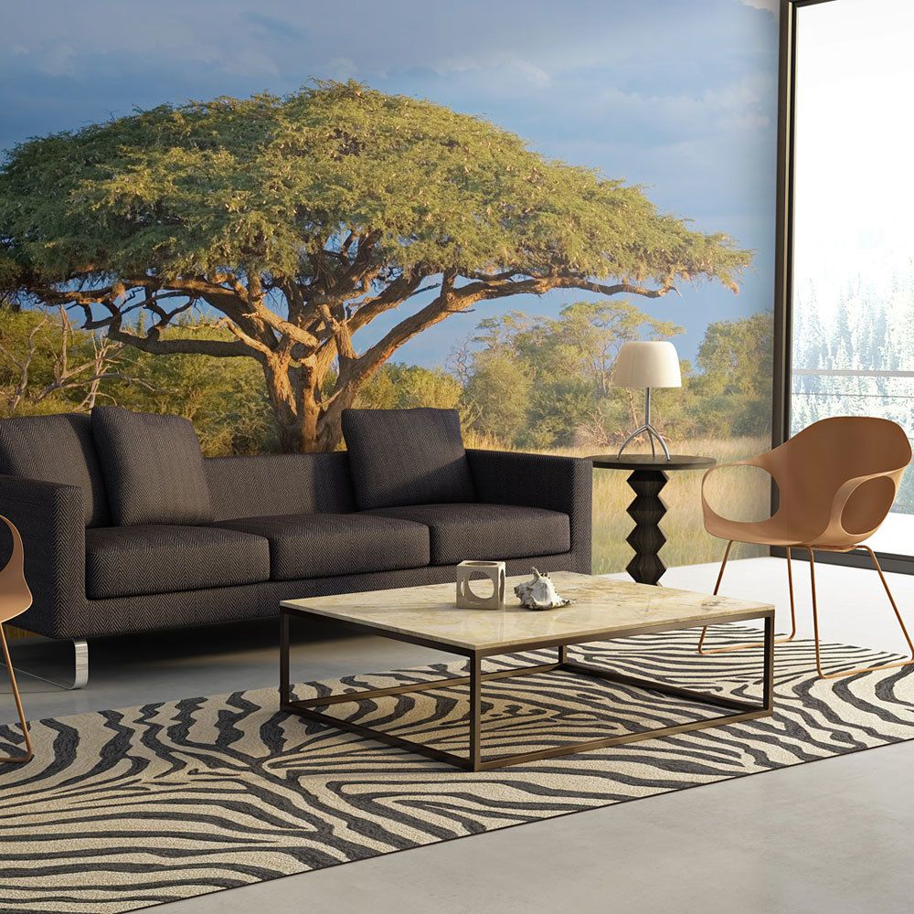 marque generique - 400x309 Papier peint Afrique Paysages Admirable Acacia africain - Papier peint