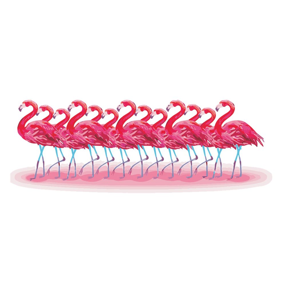 marque generique - peinture acrylique diy par numéro kit toile peinture peinture image -flamingo - Fibre de verre & papier à peindre