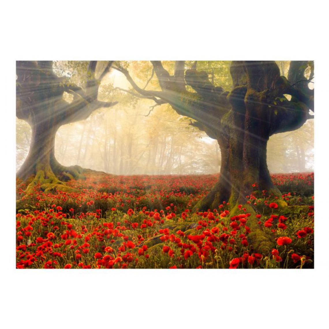 Artgeist - Papier peint - Morning among poppies .Taille : 100x70 - Papier peint