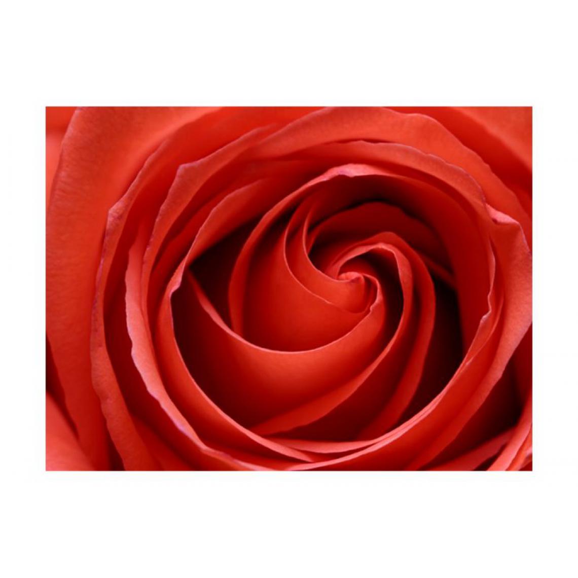 Artgeist - Papier peint - L'éveil de la rose .Taille : 200x154 - Papier peint