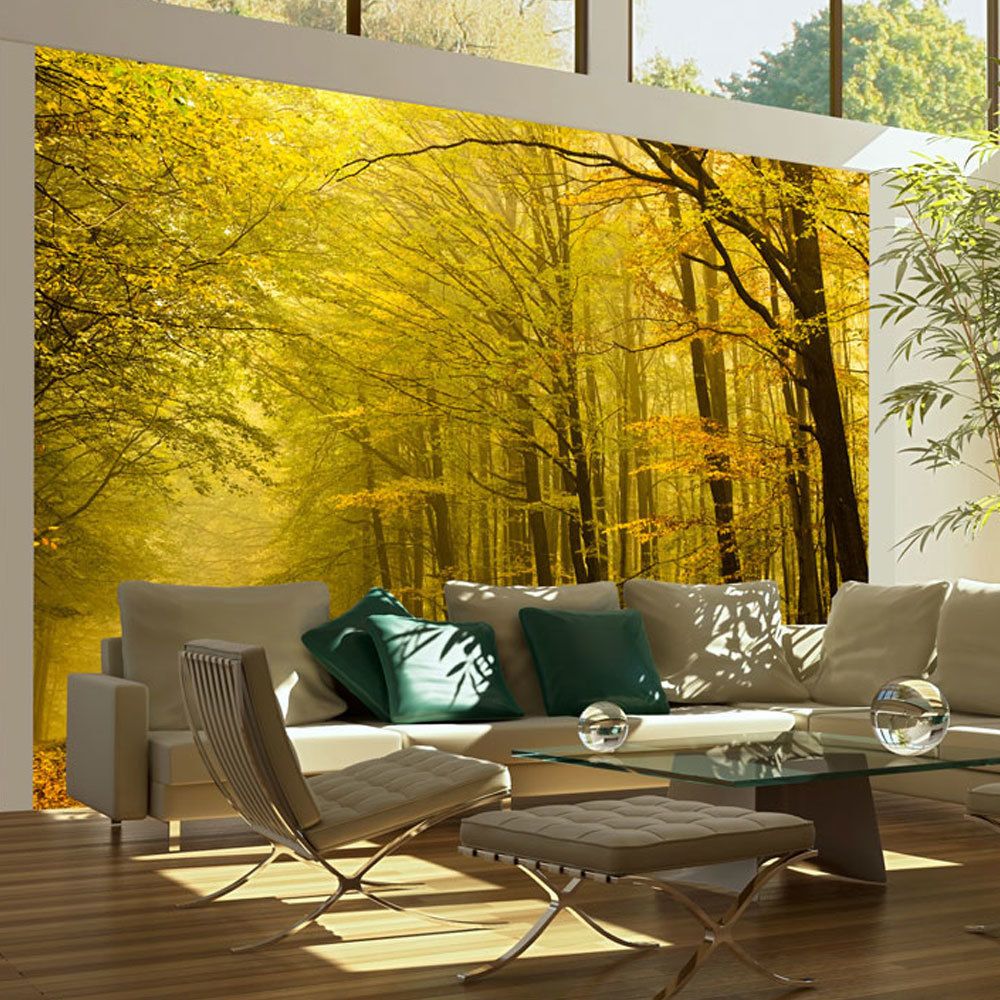 Bimago - Papier peint - Route dans la forêt d'automne - Décoration, image, art | Paysages | Arbres et Forêt | - Papier peint