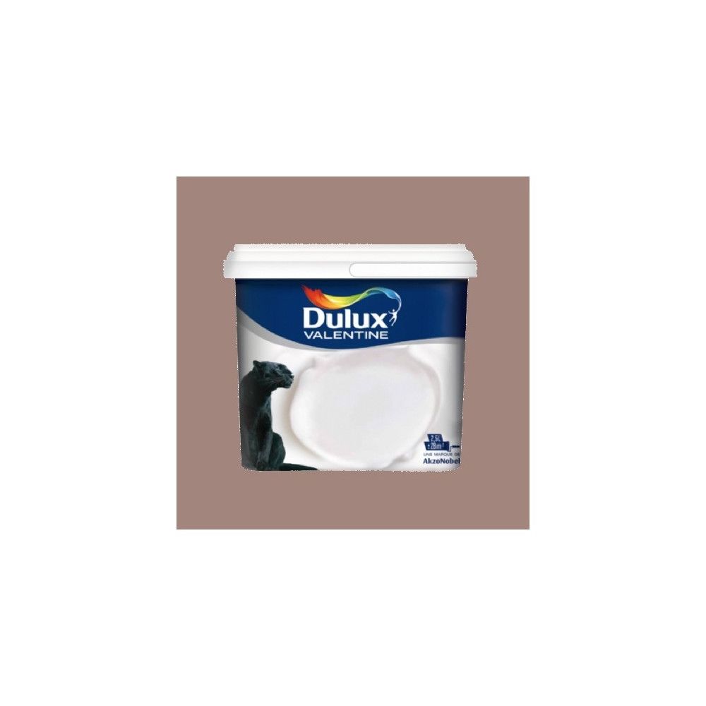 Dulux Valentine - DULUX VALENTINE Peinture acrylique Crème de couleur Taupe - Peinture intérieure