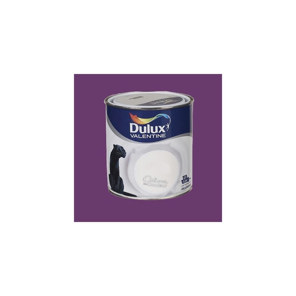 Dulux Valentine - DULUX VALENTINE Peinture acrylique Crème de couleur Prune - Peinture intérieure