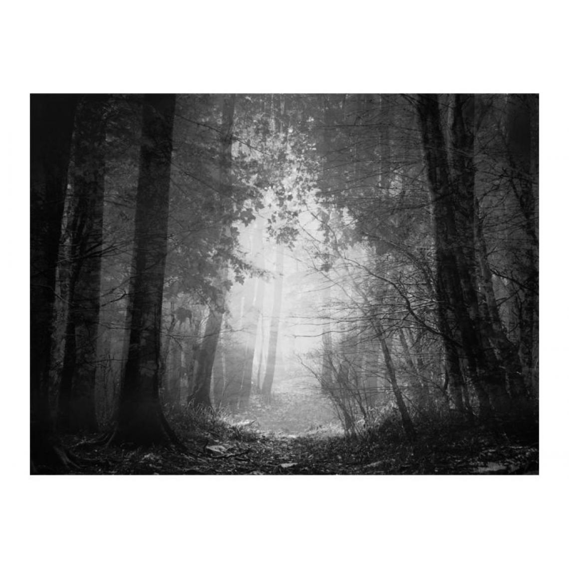 Artgeist - Papier peint - Forest of shadows .Taille : 400x309 - Papier peint