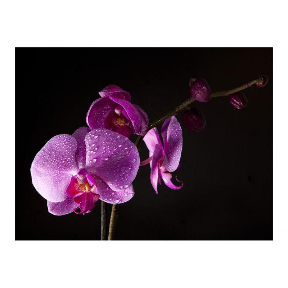 Artgeist - Papier peint - de bon goût orchidée .Taille : 200x154 - Papier peint