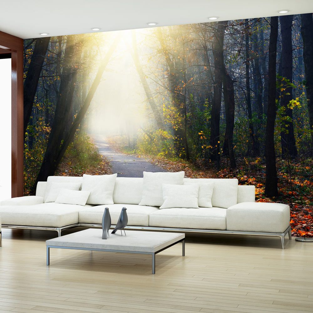 Bimago - Papier peint | Road through the Forest | 250x175 | Paysages | Arbres et Forêt | - Papier peint