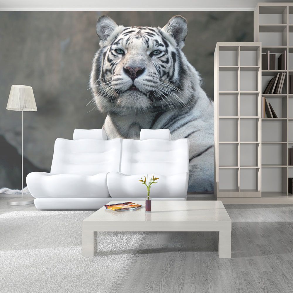 Bimago - Papier peint - Tigre du Bengale au zoo - Décoration, image, art | 450x270 cm | XXl - Grand Format | - Papier peint