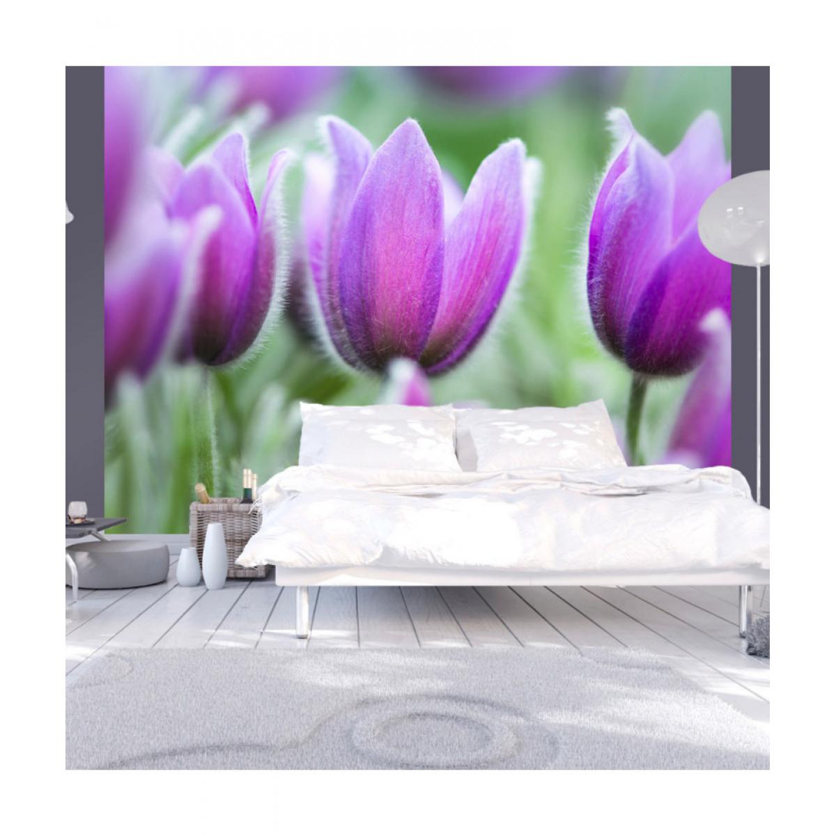 Artgeist - Papier peint - Tulipes violettes au printemps 350x270 - Papier peint