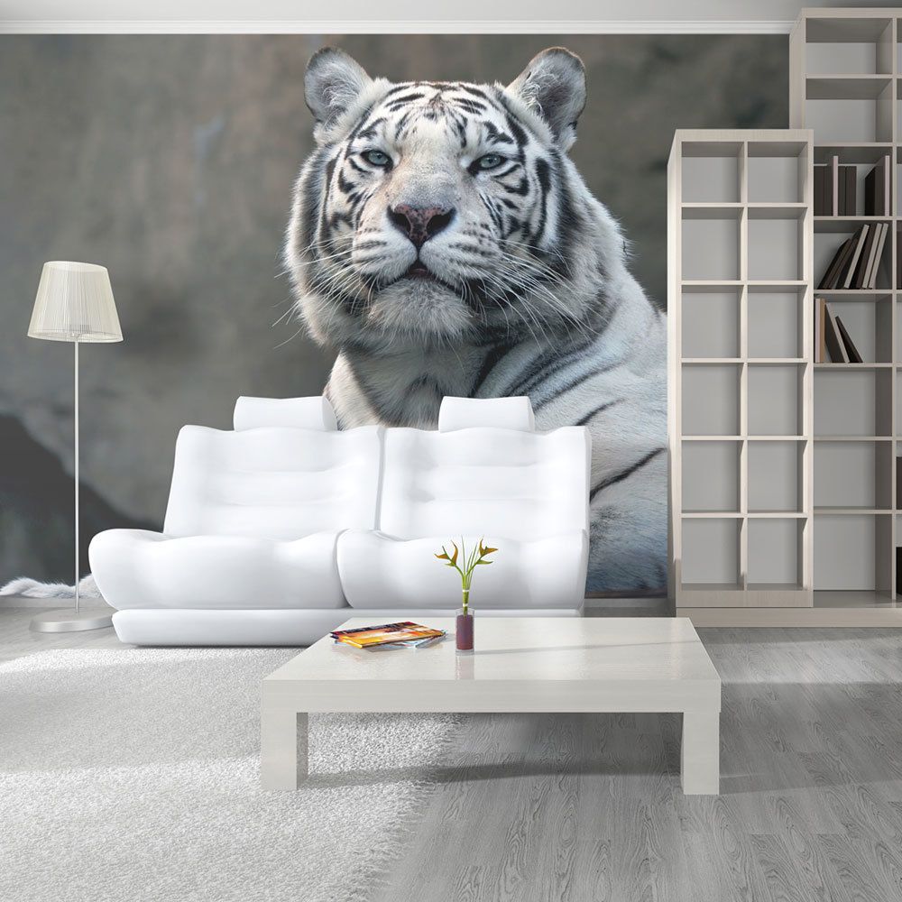 marque generique - 400x309 Papier peint Animaux Moderne Tigre du Bengale au zoo - Papier peint