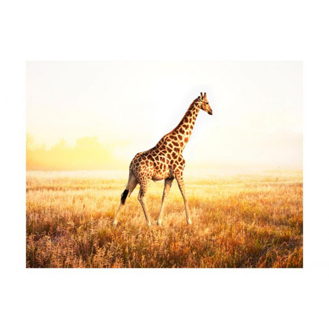 Artgeist - Papier peint - girafe - promenade .Taille : 250x193 - Papier peint