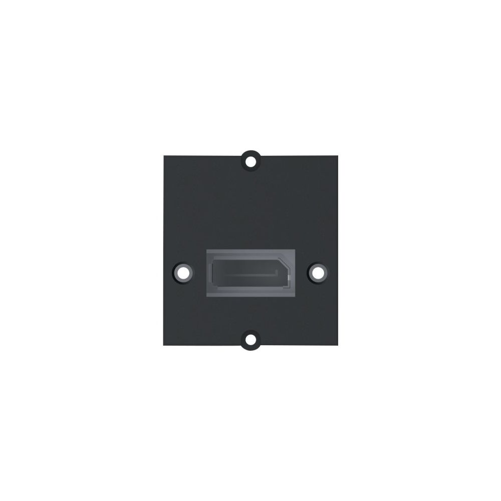 Bachmann - BACHMANN Plastron DisplayPort - Autres équipements modulaires