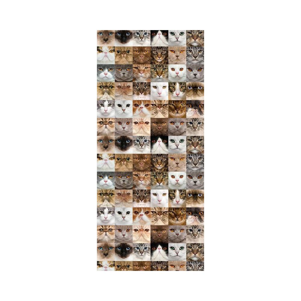 Bebe Gavroche - Cats, Papier peint intissé, 0,53m x 10,05m - Papier peint