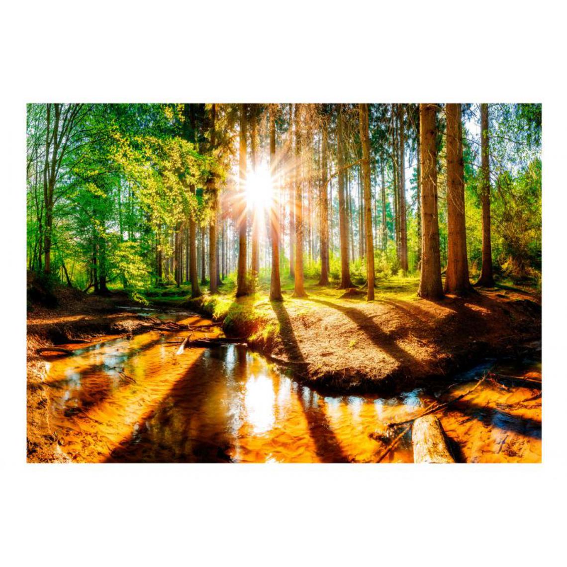 Artgeist - Papier peint - Marvelous Forest .Taille : 200x140 - Papier peint