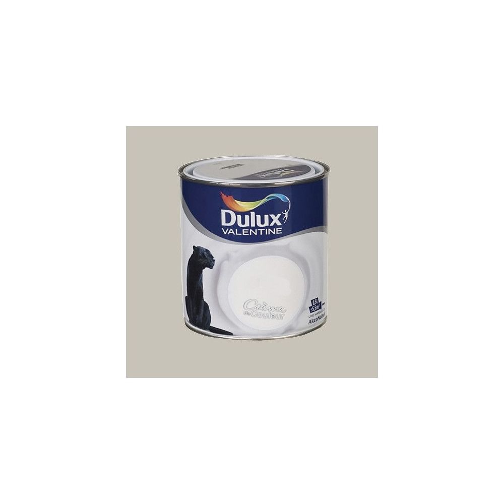 Dulux Valentine - DULUX VALENTINE Peinture acrylique Crème de couleur Béton gris - Peinture intérieure
