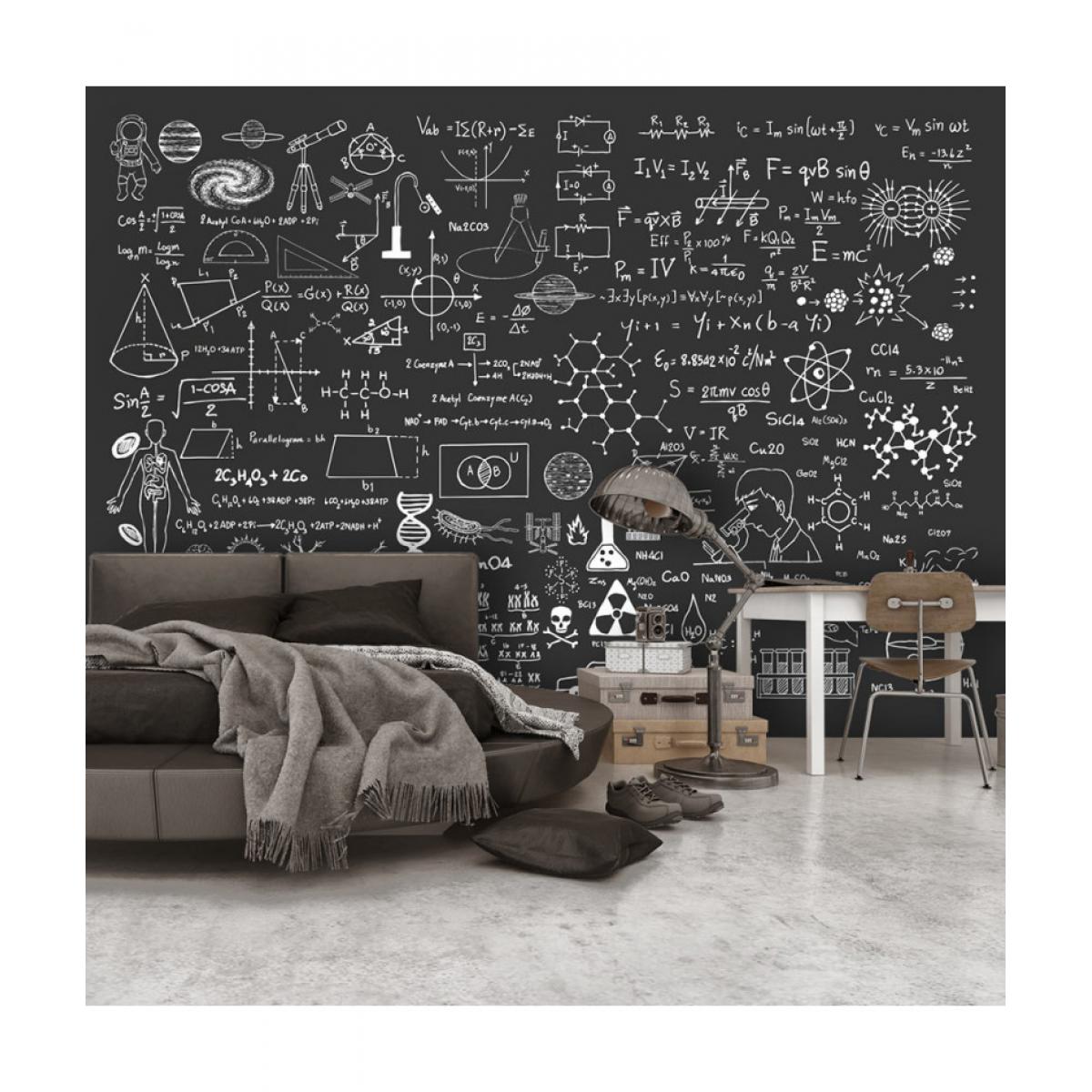 Artgeist - Papier peint - Science on Chalkboard 250x175 - Papier peint