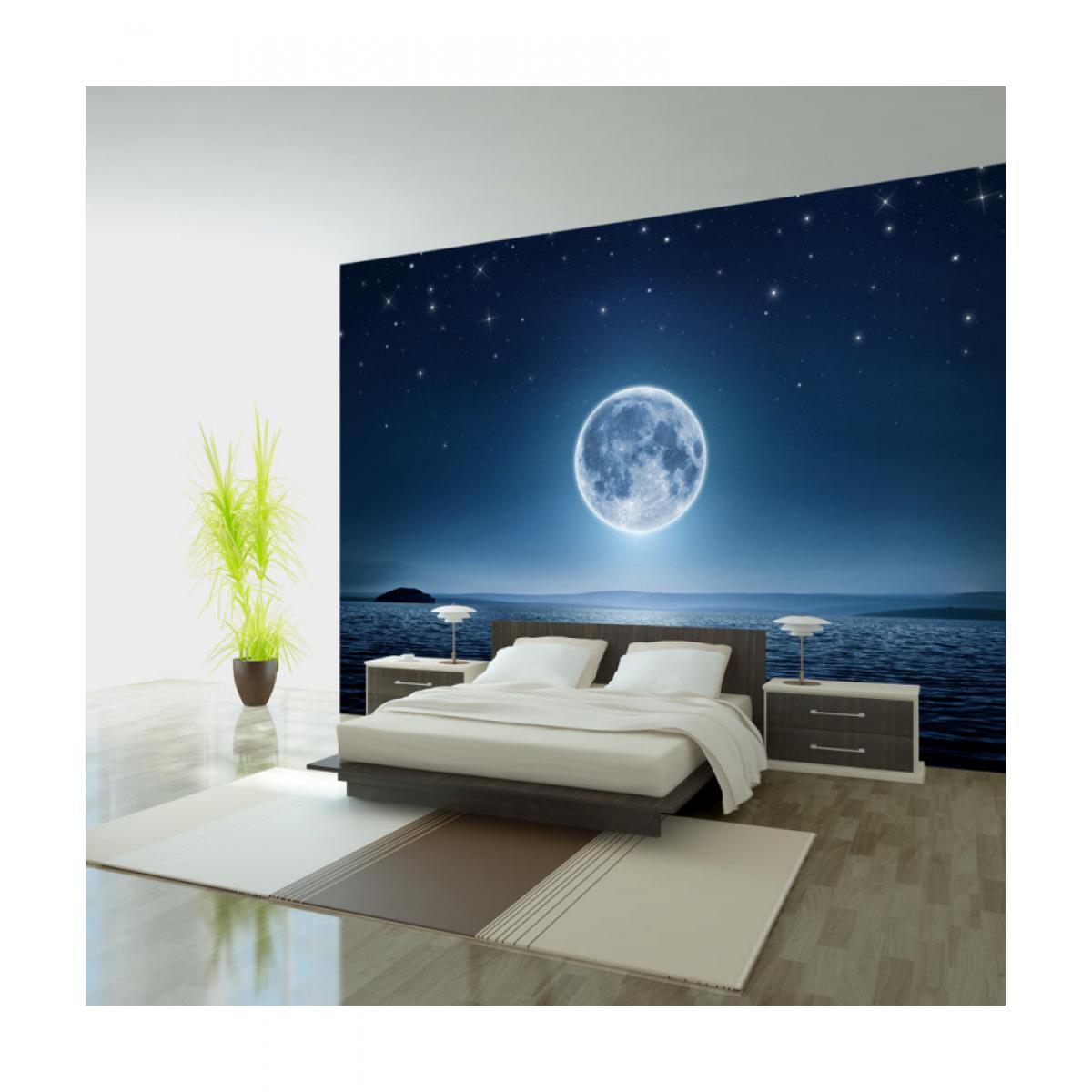 Artgeist - Papier peint - Moonlit night 250x175 - Papier peint