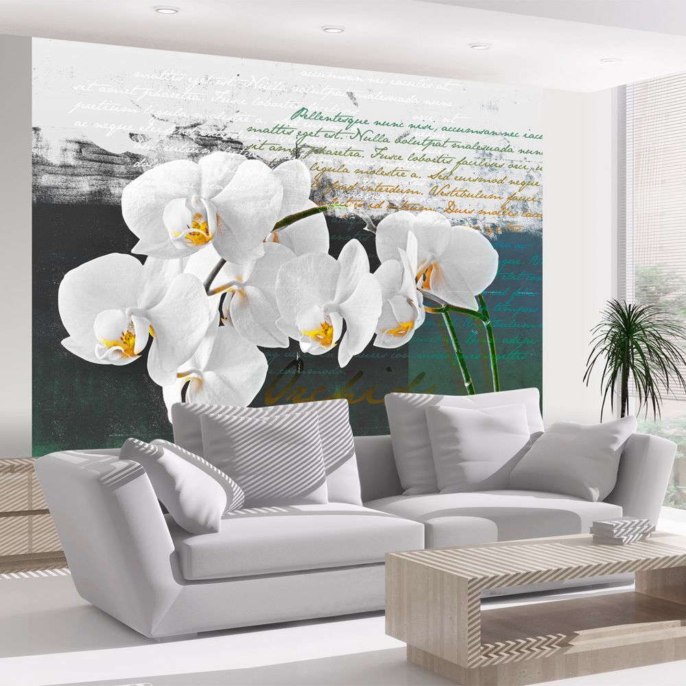 marque generique - 400x309 Papier peint Orchidées Fleurs Contemporain Orchidées - Papier peint