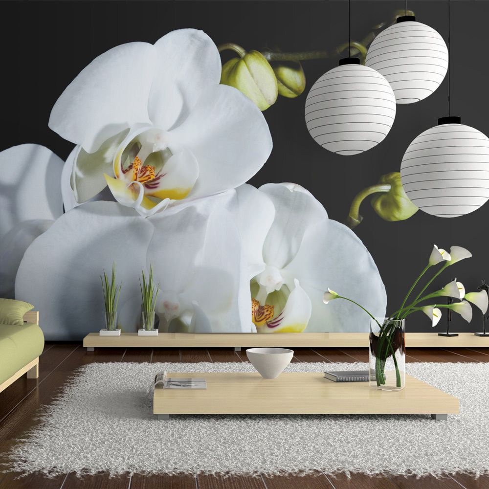 Bimago - Papier peint - Phalaenopsis - Décoration, image, art | Fleurs | Orchidées | 450x270 cm | XXl - Grand Format | - Papier peint