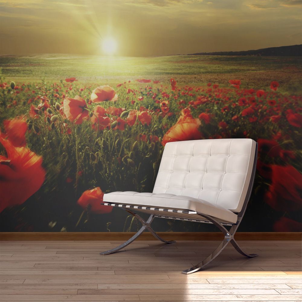 Bimago - Papier peint - Morning on the poppy meadow - Décoration, image, art | Fleurs | Coquelicots | 450x270 cm | XXl - Grand Format | - Papier peint