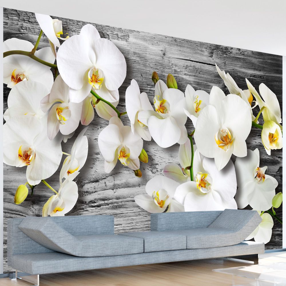 marque generique - 150x105 Papier peint Orchidées Fleurs Splendide Callous orchids III - Papier peint