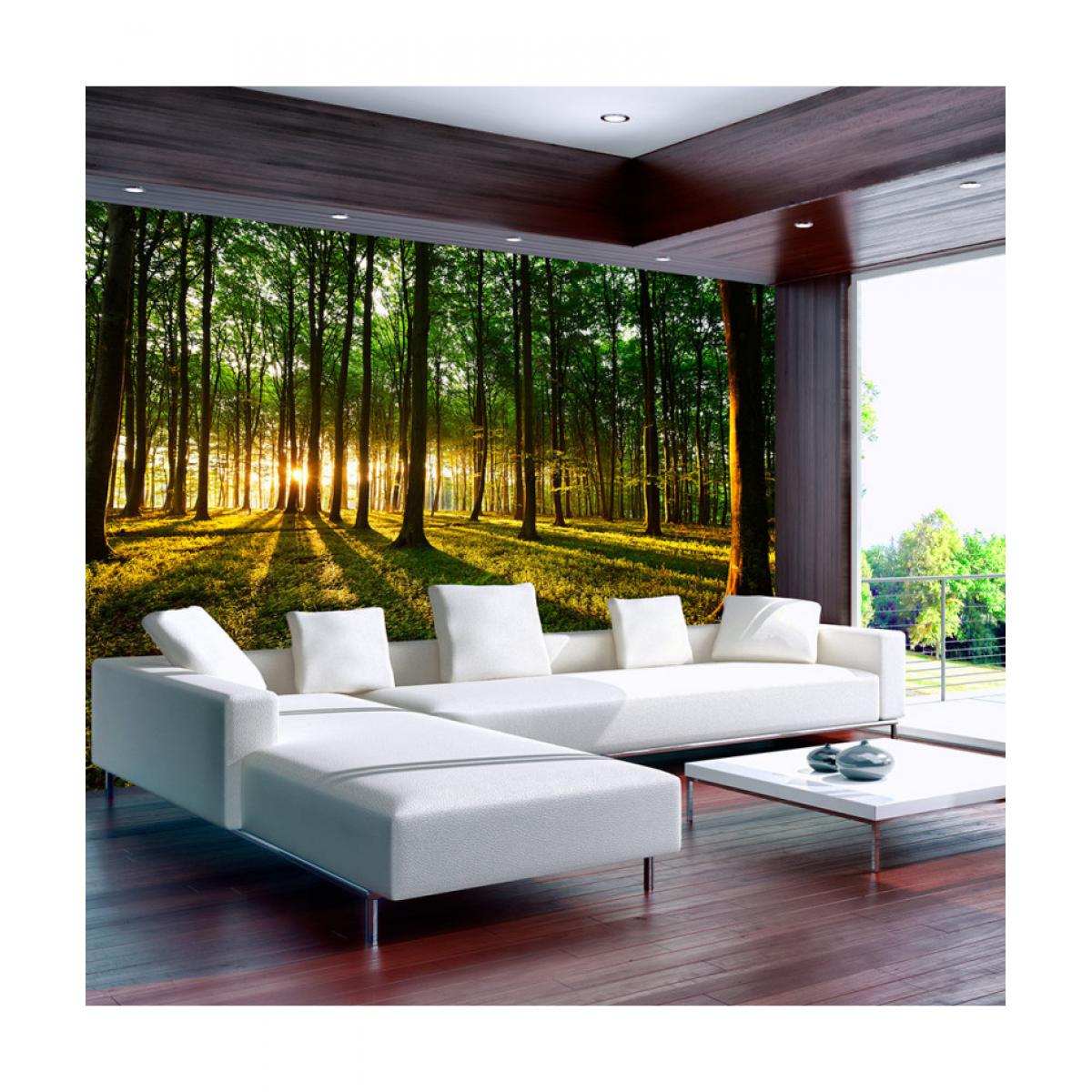 Artgeist - Papier peint - Spring: Morning in the Forest 250x175 - Papier peint