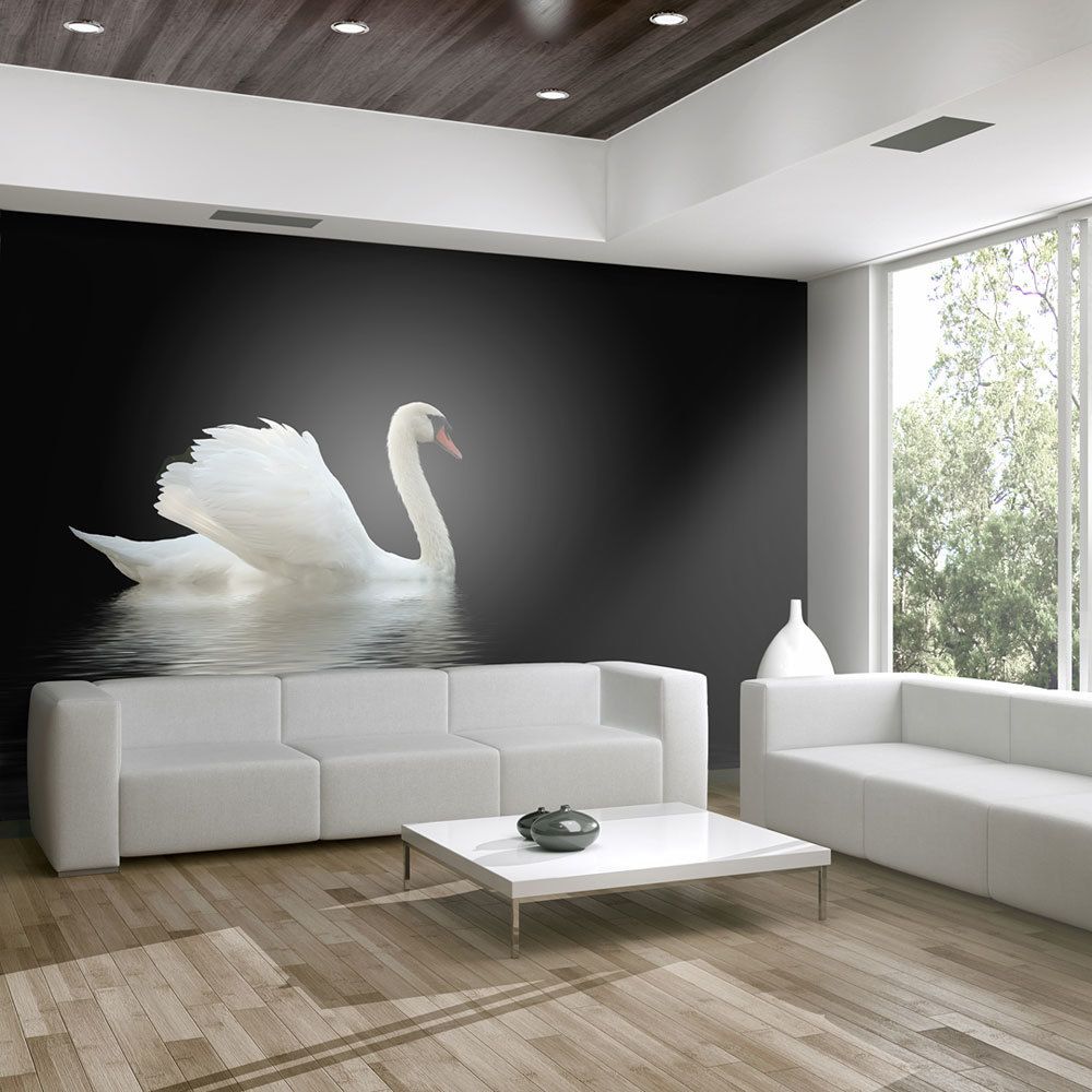 Bimago - Papier peint - cygne (noir et blanc) - Décoration, image, art | Animaux | - Papier peint
