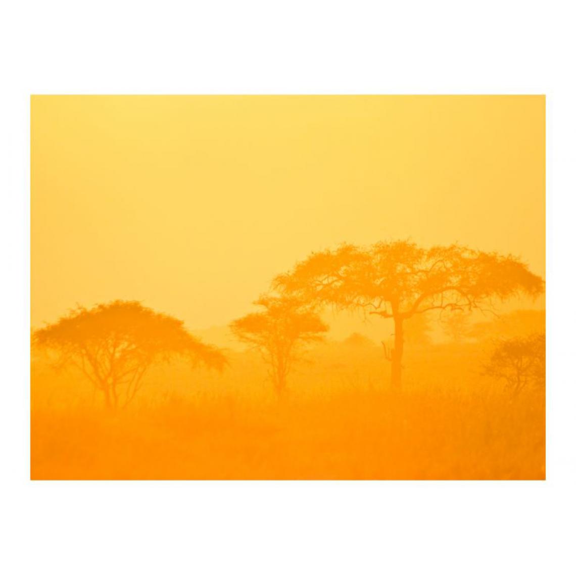 Artgeist - Papier peint - Orange savanna .Taille : 200x154 - Papier peint