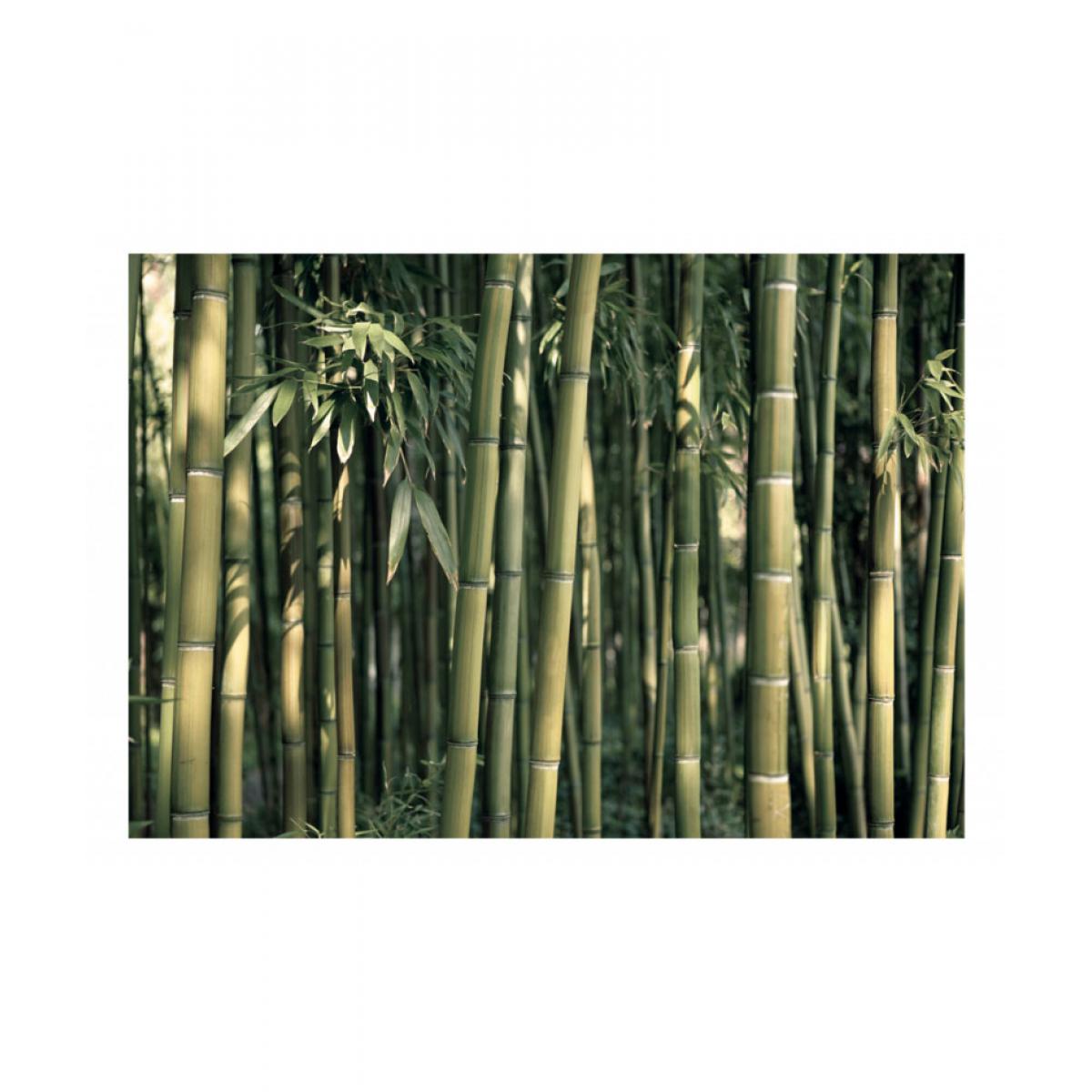 Artgeist - Papier peint - Bamboo Exotic 350x245 - Papier peint