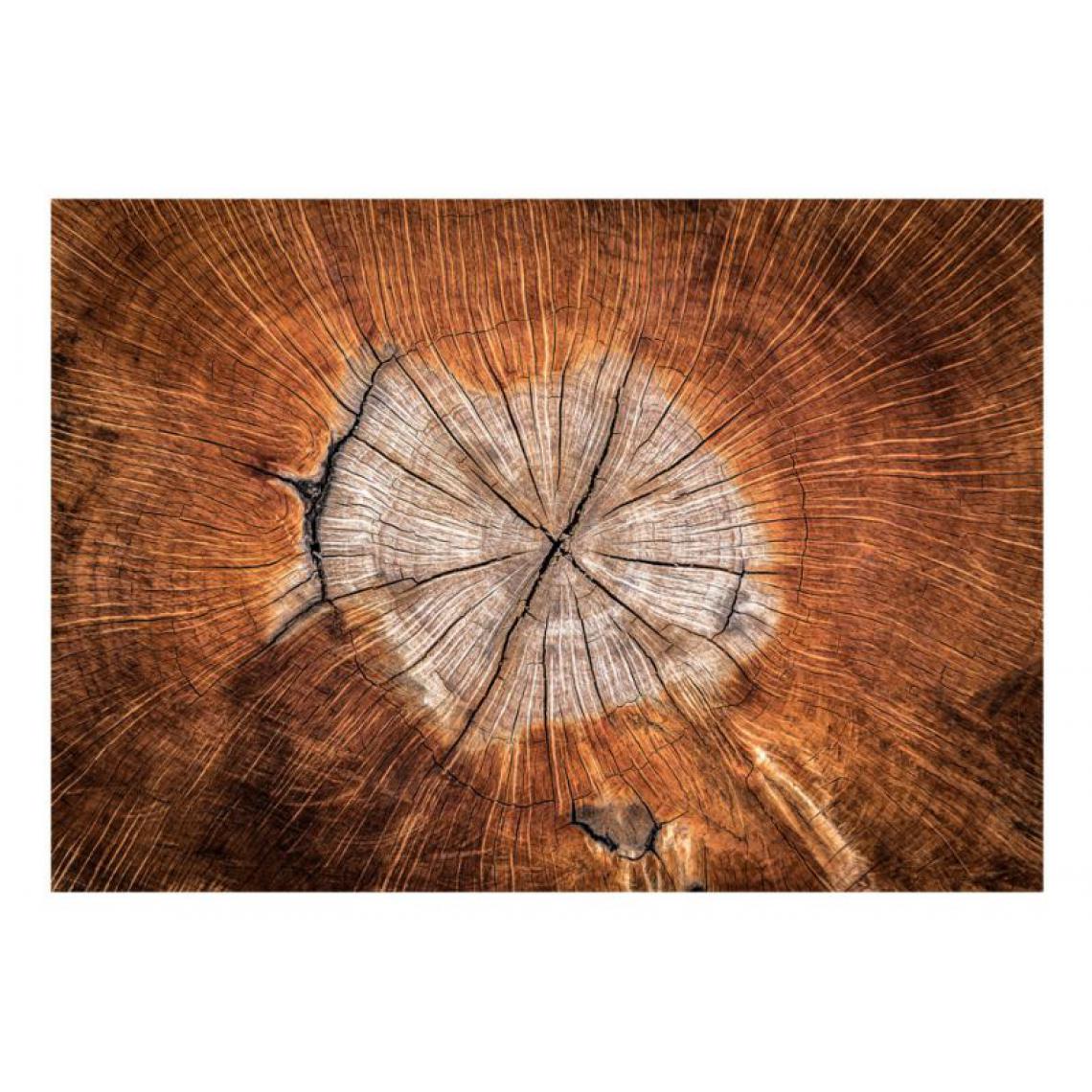 Artgeist - Papier peint - The Soul of a Tree .Taille : 400x280 - Papier peint