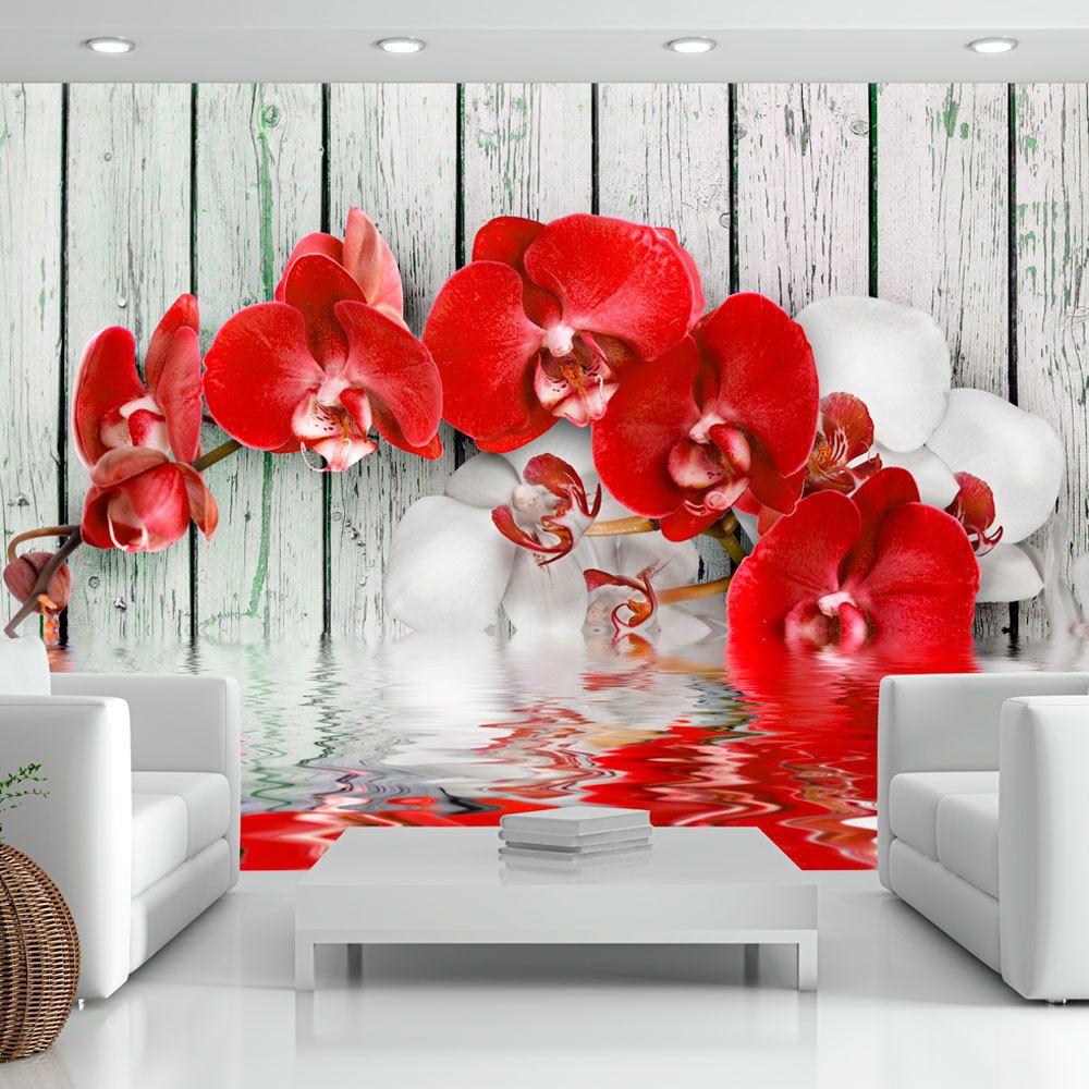 Bimago - Papier peint - Ruby orchid - Décoration, image, art | Fleurs | Orchidées | - Papier peint